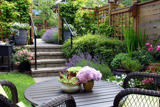 Small garden inspiration